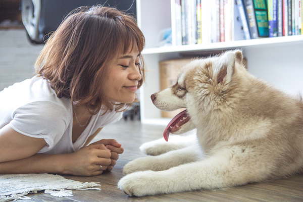 person with their pet