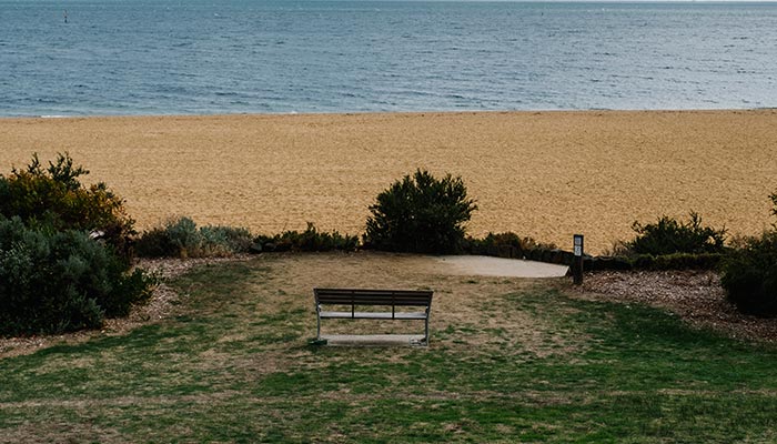 Quiet, quaint, and perfect beach view of palm harbor