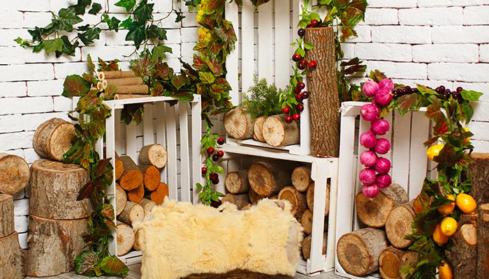 organized outdoor shed 