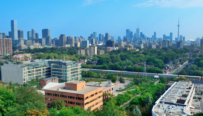 city skyline view with park and urban buildings