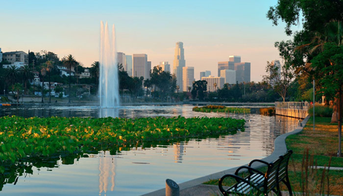 view from park with urban architectures and fountain