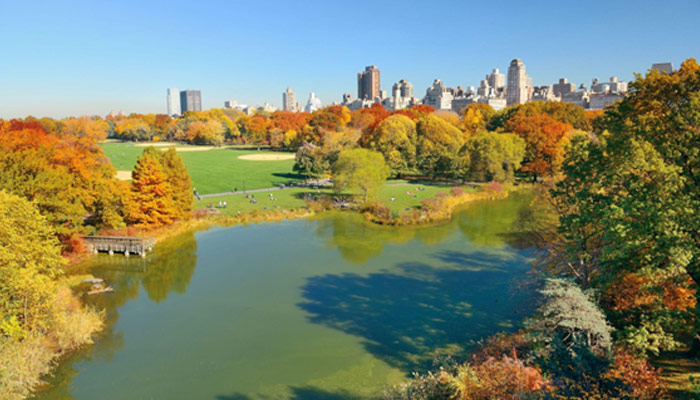 Lake and Autumn foliage with apartment buildings