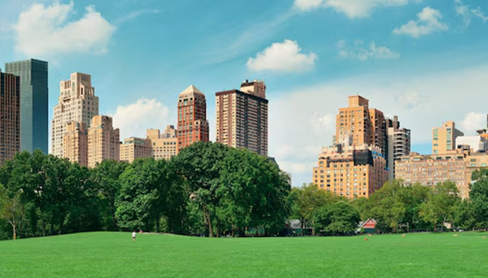 Central Park Spring with skyline in midtown