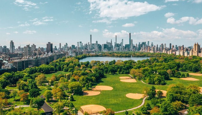 aerial view of park