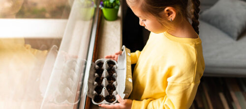 Side view of a little girl holding planted seeds in egg carton