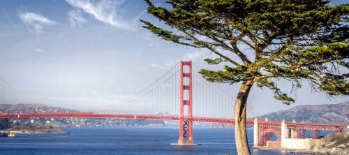 San Francisco California line city skyline