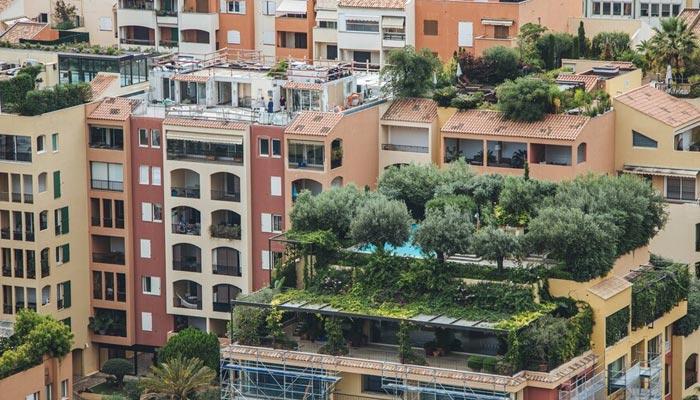 Wide angle shot of trees growing on the buildings of a city