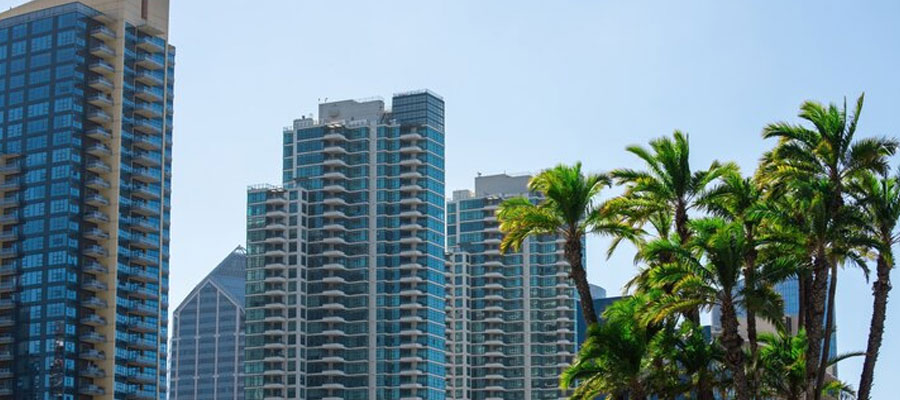 Palm trees and buildings