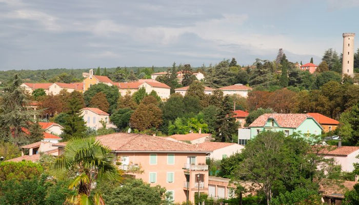 pinecrest city landscape