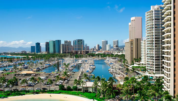 skyscrapers standing over the sea and bays