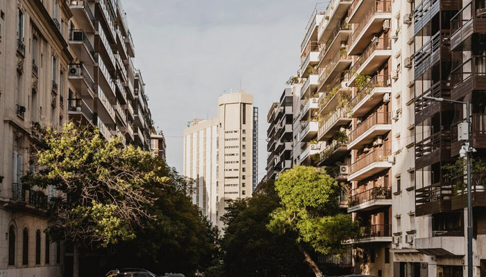 City street with concrete buildings and trees