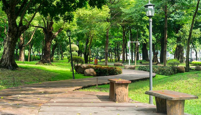 Park with a wooden pathway and benches