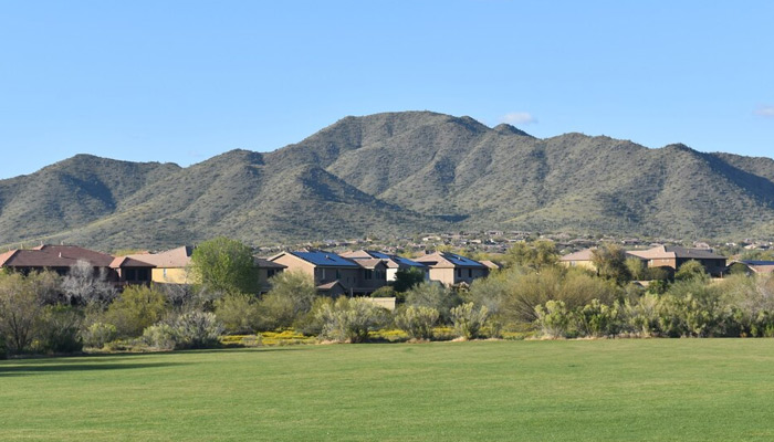 Mountain landscape with green grass and daisies