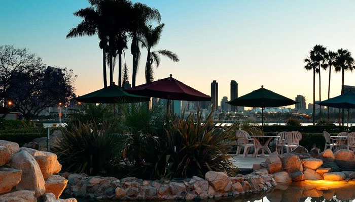 early morning view with palm trees 