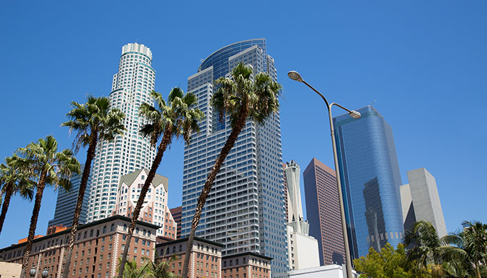 skyline with palm trees at Pershing Square